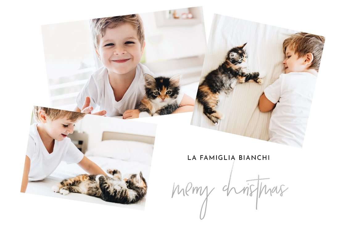 Biglietti — Scatti di Natale