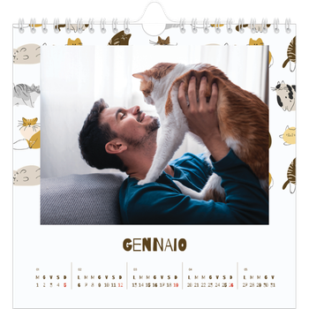 Calendario Fotografico Quadrato — Gattino giocherellone