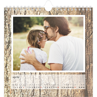 Calendari quadrati — Corteccia d'albero [Aprile]