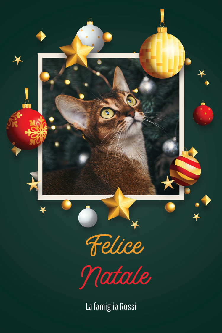 Biglietti — Immaginando il Natale