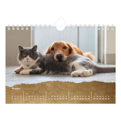 Calendario fotografico A5 — Classic Gold [copertina]