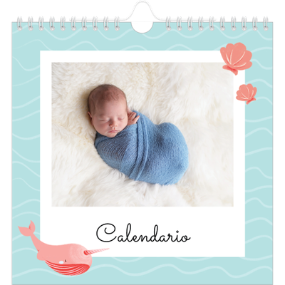 Calendari quadrati — Animali carini [copertina]