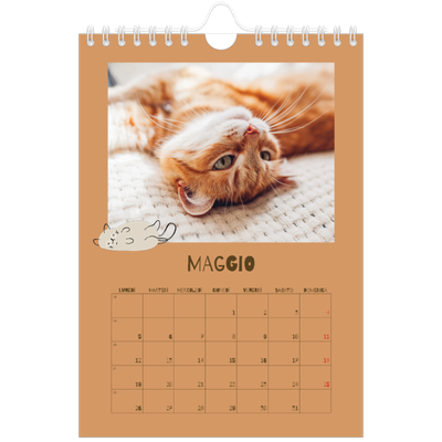 Calendario fotografico A5 — Gattino giocherellone [copertina]