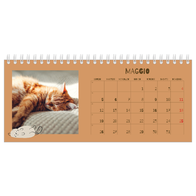 Calendari da tavolo — Gattino giocherellone [copertina]