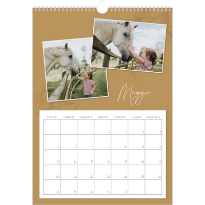 Calendario A3 verticale — Con i piedi per terra [copertina]