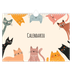 Calendario fotografico A4 — Zampette di gatto e scarabocchi [copertina]