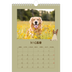 Calendario personalizzato A4 — Cucciolo giocherellone [copertina]