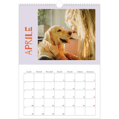 Calendario A3 verticale — Divertente colorato [Aprile]