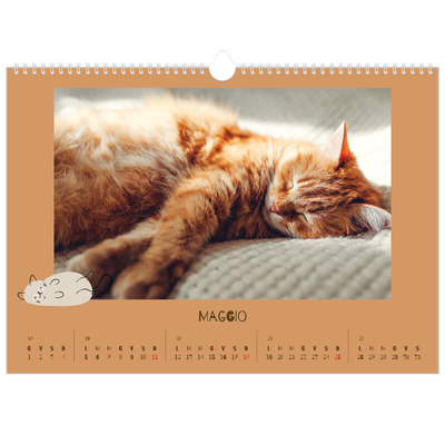 Calendario A3 orizzontale  — Gattino giocherellone [copertina]