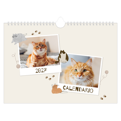 Calendario fotografico A4 — Gattino giocherellone [copertina]