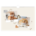 Calendario fotografico A4 — Gattino giocherellone [copertina]