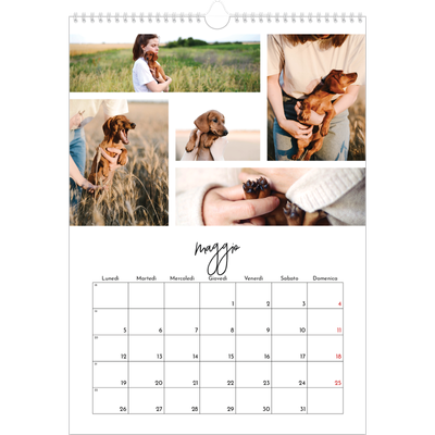 Calendario A3 verticale — Disposizioni fotografiche [copertina]