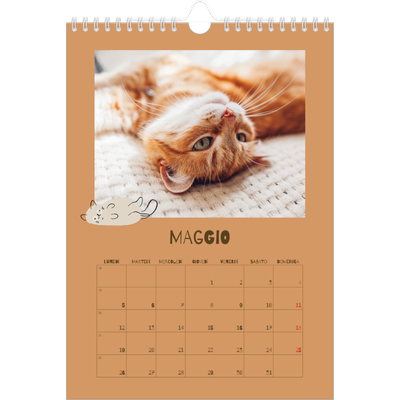 Calendario personalizzato A4 — Gattino giocherellone [copertina]