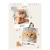 Calendario fotografico A5 — Gattino giocherellone [copertina]