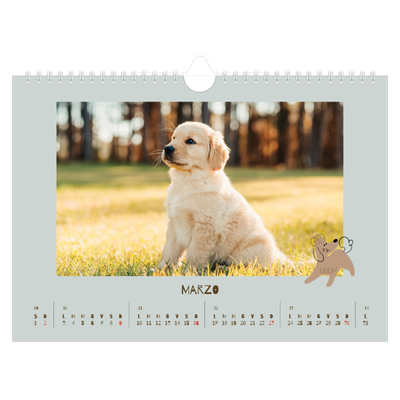 Calendario fotografico A4 — Cucciolo giocherellone [Marzo]