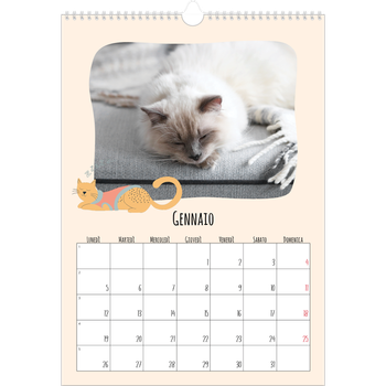 Calendario personalizzato A3 — Zampette di gatto e scarabocchi