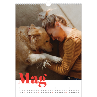 Calendario A3 verticale — Un anno audace [copertina]