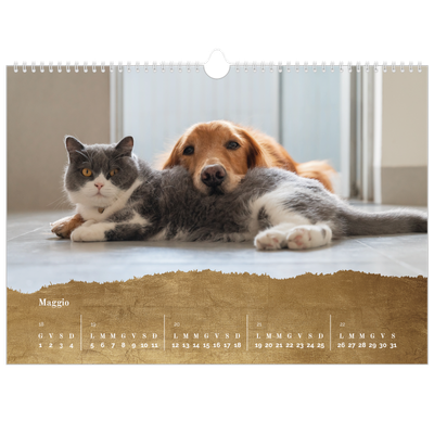 Calendario A3 orizzontale  — Classic Gold [copertina]